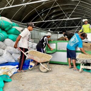 Dukungan LPDB Koperasi Menguatkan KDKMP Sidomulyo Jember, Mendorong Ekspor Kopi Robusta ke Mesir