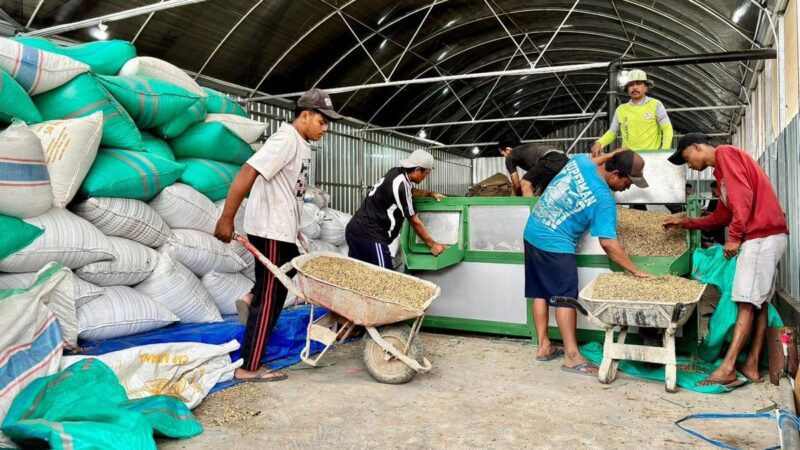 Dukungan LPDB Koperasi Menguatkan KDKMP Sidomulyo Jember, Mendorong Ekspor Kopi Robusta ke Mesir